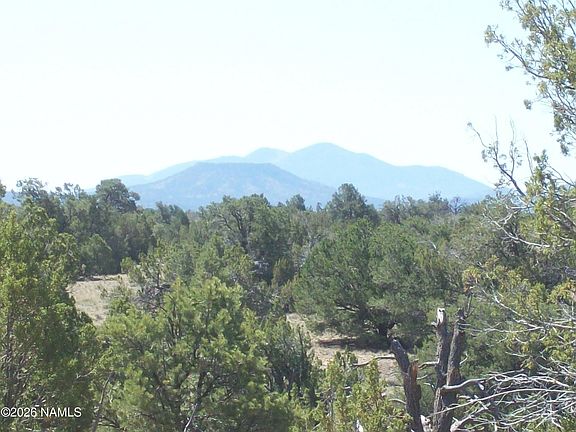 3rd image of 1432 S Kaibab Rd