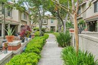 Vineyard Ave-2505-001.jpg