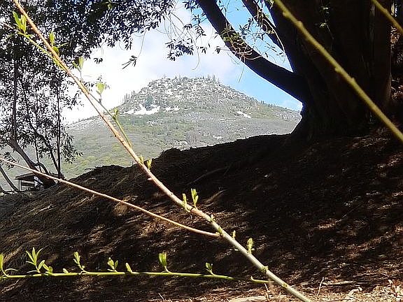 From Middle Creek bank