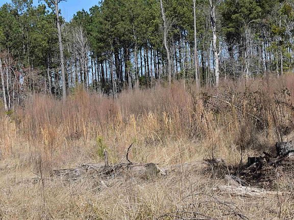 5th image of Ouachita County Rd #55