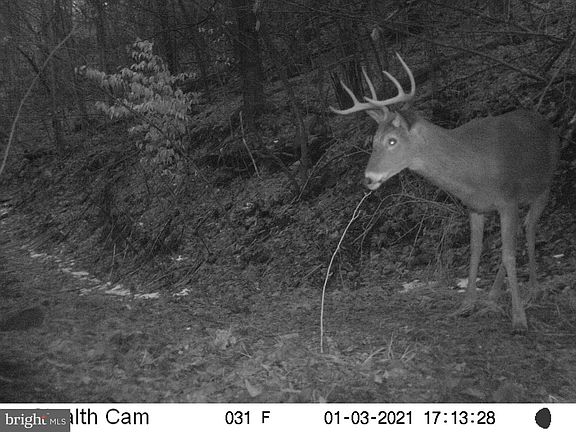 4th image of 0 Clapboard Run Rd