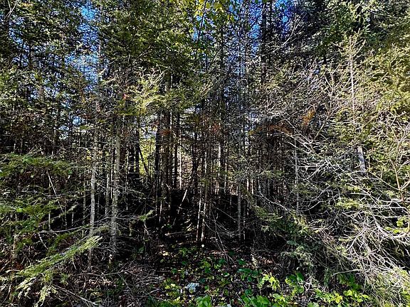 5th image of TBD Powers Lake Rd