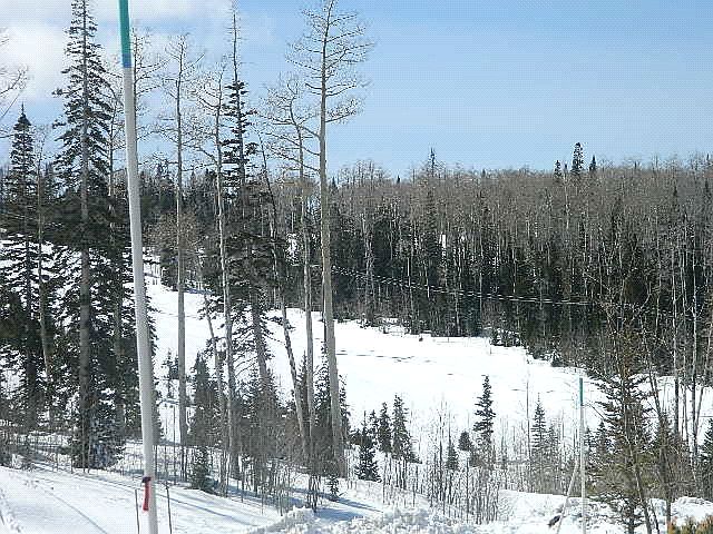2nd image of Ridge View Ests