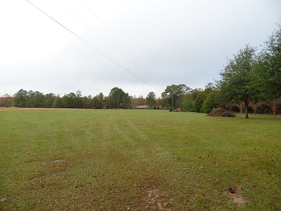 Looking across the pasture