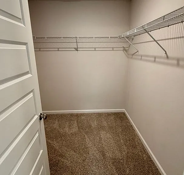 250 Boggy Creek Way — Photo 30