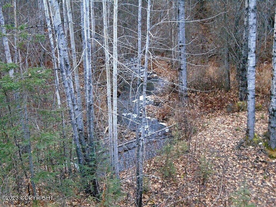 1st image of 32292 S Talkeetna Spur