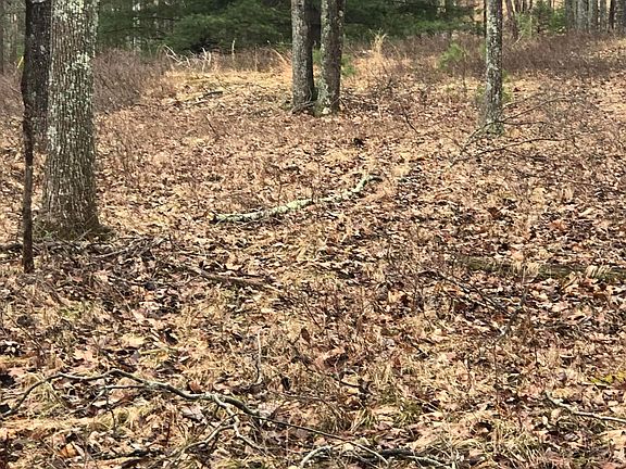 4th image of Bear Creek Ct