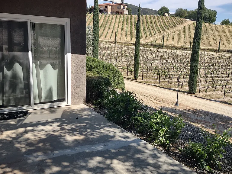 37850 De Portola Rd — Photo 46