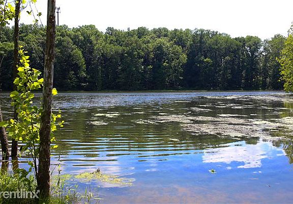 Hike up to Wapahani Lake from one of the paths that runs to