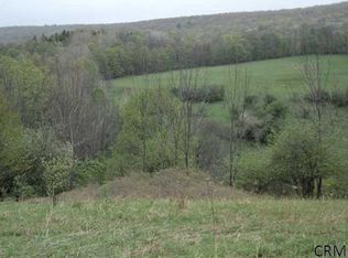 Podpadic Rd, Richmondville, NY 12149