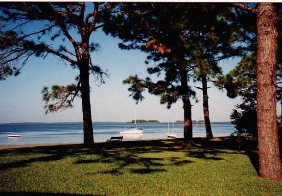 2nd image of 2700 Bayshore Blvd APT 4207