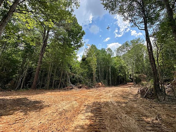 3 County Road 2251, Ethel, MS 39067 | MLS #141709 | Zillow