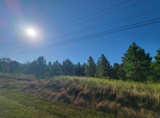 0 Benny Sharp Rd, Hawkinsville, GA 31036