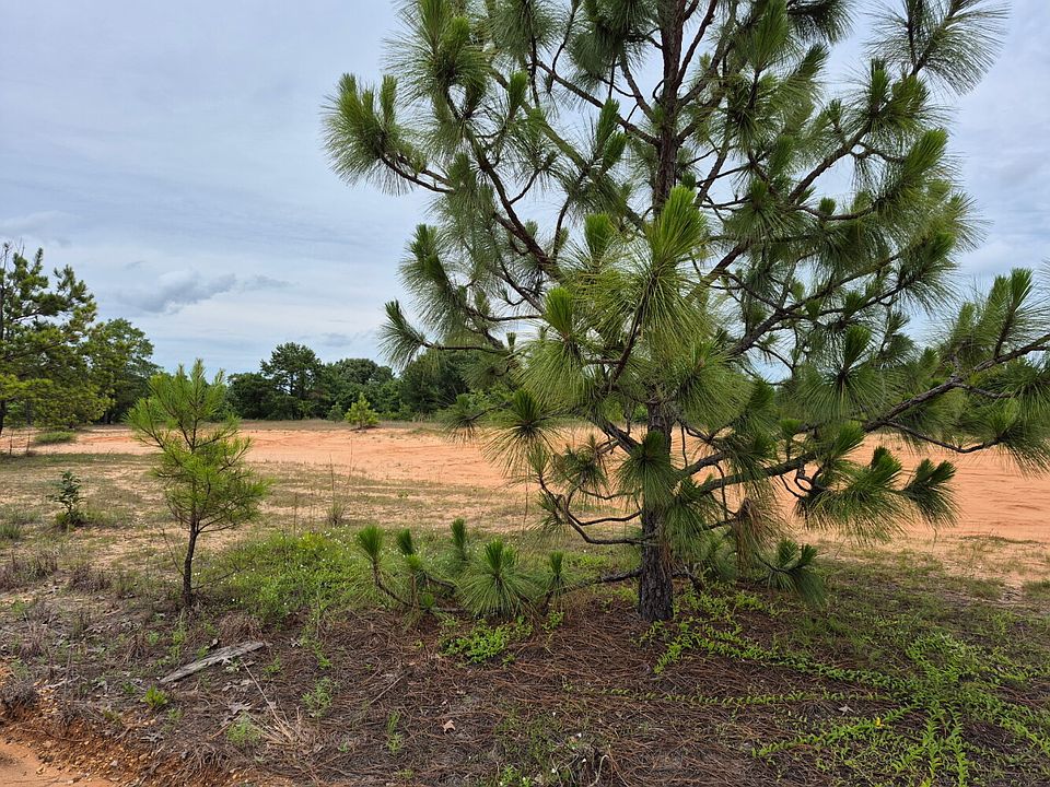 1st image of 0 County Road 334