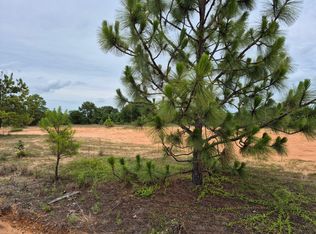 0 County Road 334, Plantersville, AL 36758
