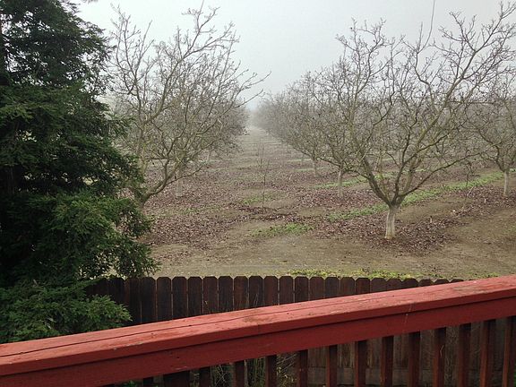 5th image of 810 Mackilhaffy Dr
