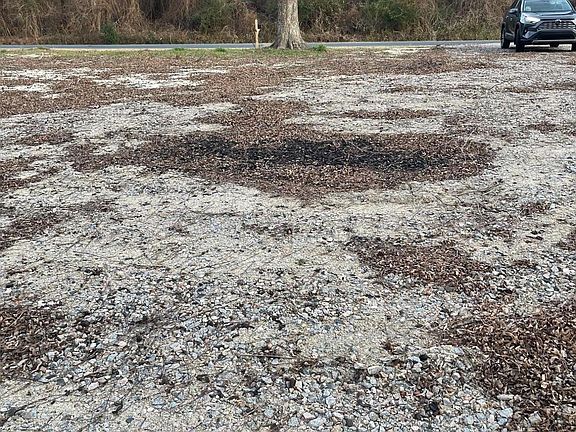 4th image of 316 Bayview Road