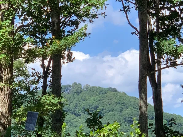 2046 Amy Creek Cir #34, Ellijay, GA 30540