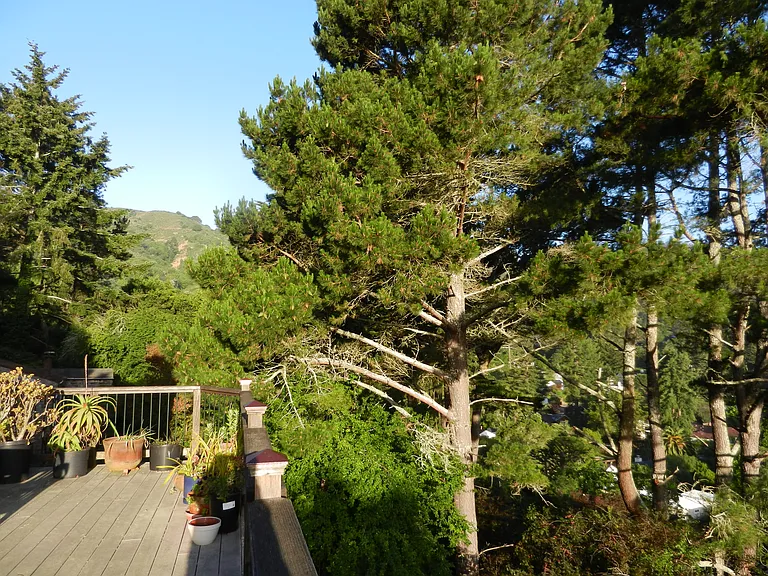 0 Marin Dr — Photo 6