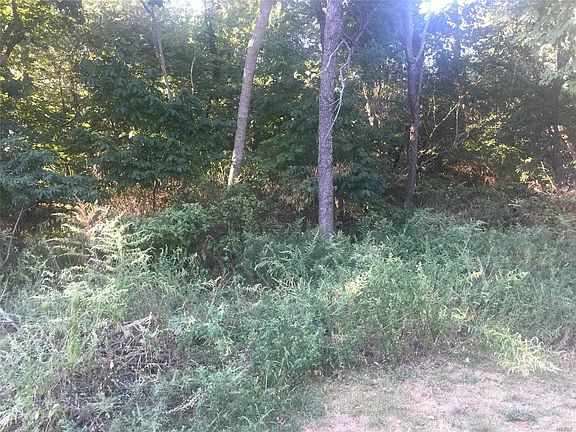 5th image of 106 Louise Ct