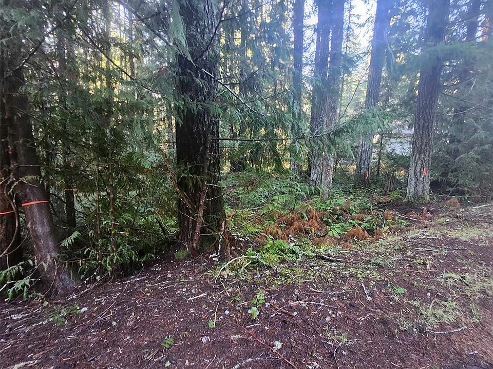 1st image of 111 N Duckabush Loop W