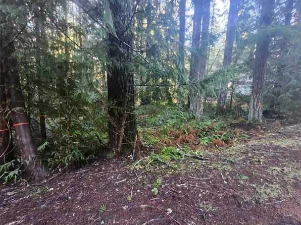 111 N Duckabush Loop W, Hoodsport, WA 98548