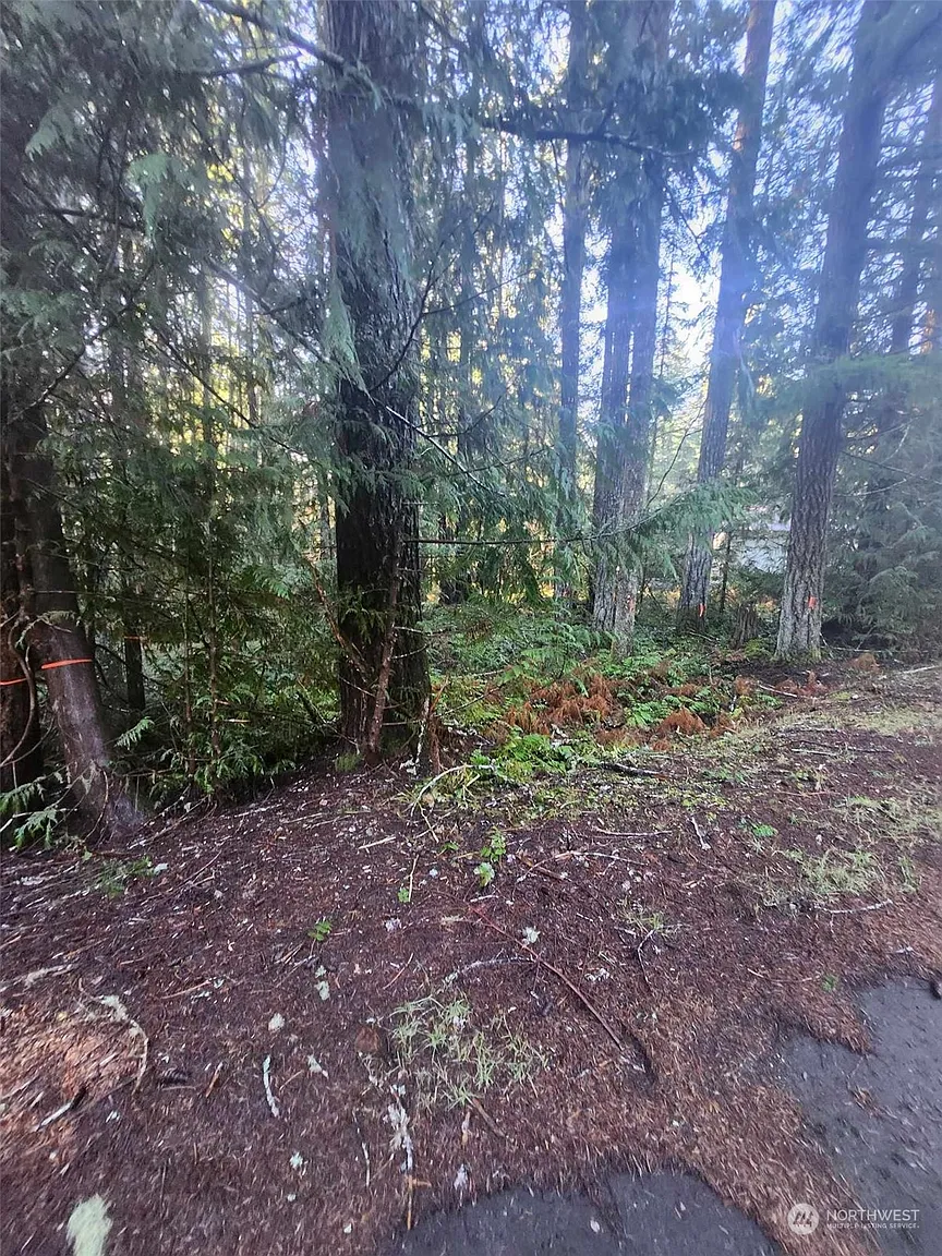 111 N Duckabush Loop W photo 1