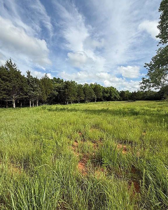 2nd image of 17036 Stone House Rd Lot 16