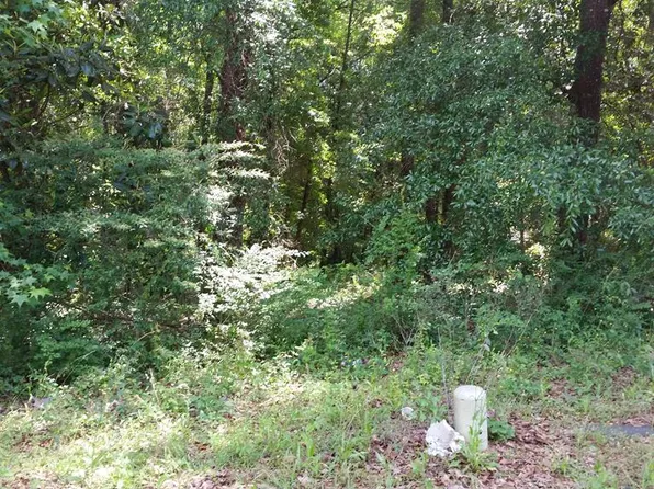 225 Lighthouse Dr, Dothan, AL 36305