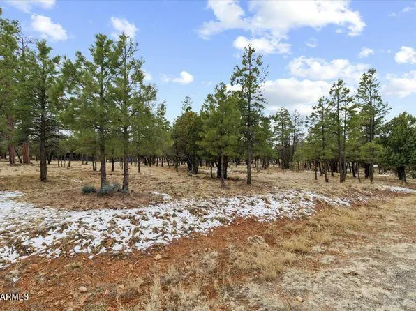 4995 STARLIGHT Drive #150, Happy Jack, AZ 86024