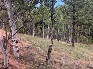 40 Sequoia Trl, Woodland Park, CO 80863