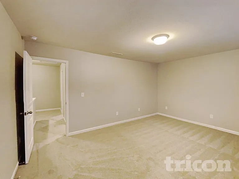 4217 Piedmont Farms Way — Photo 13