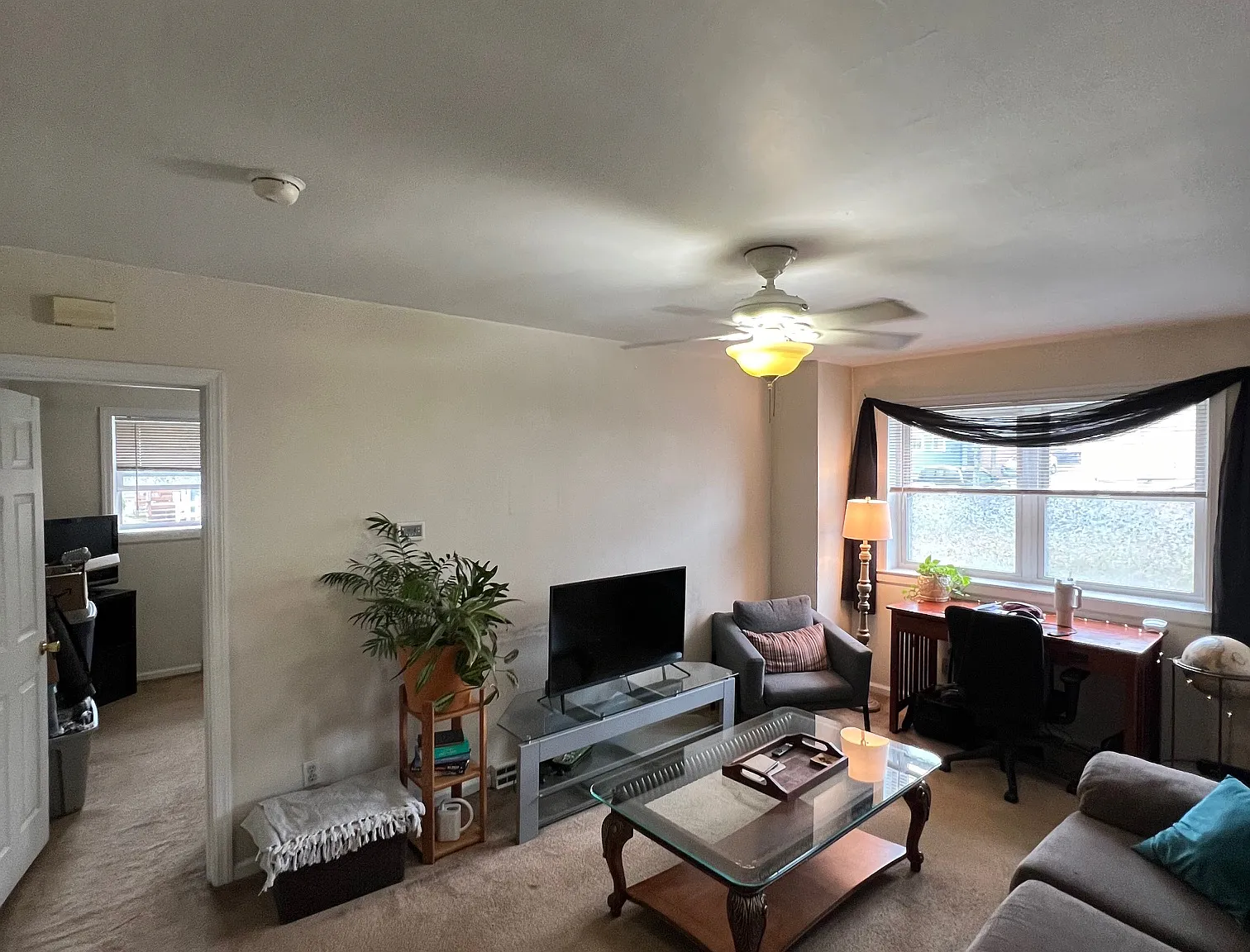 1 bed, $875 — Photo 4