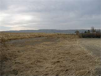 2nd image of 2474 Bishop Rd