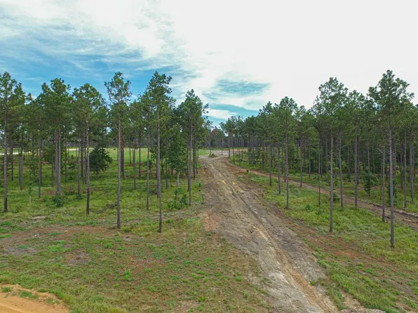 6 Nelson Rd, Livingston, TX 77351