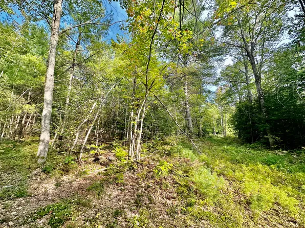 6 Berry Road, Sebago, ME 04092