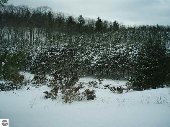 4th image of 4905 Hampshire Dr