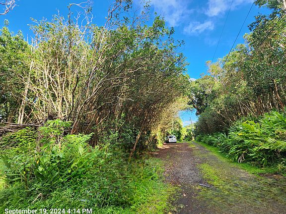 2nd image of 12-556 Molokai St #132
