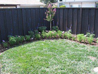 landscaped backyard