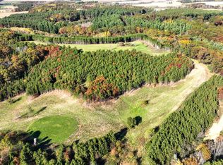 W20838 Call Valley Rd, Strum, WI 54770