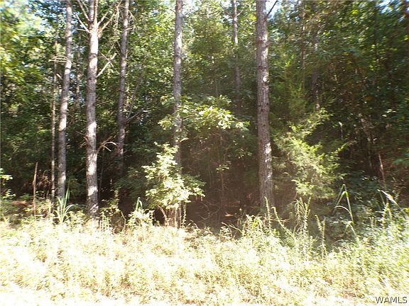4th image of 0 Luxapallila Rd