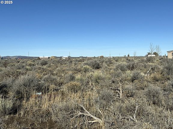 4th image of Pinion Ln #4600