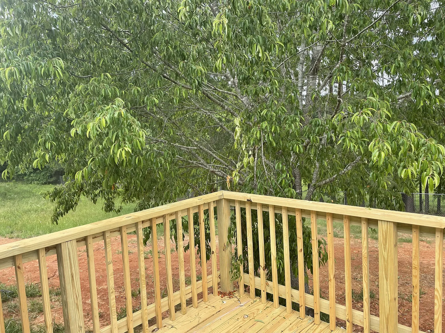 326 Oak Leaf Circle - 1 — Photo 3