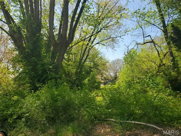 715 Ann St, Belleville, IL 62220