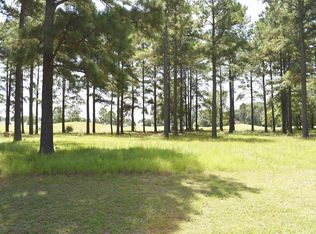 419 Pinelake Ct, Manning, SC 29102