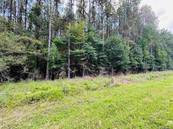 19 Highway 449, Pine Grove, LA 70453