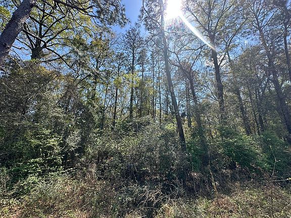 2nd image of PARCEL Holloway Rd #B