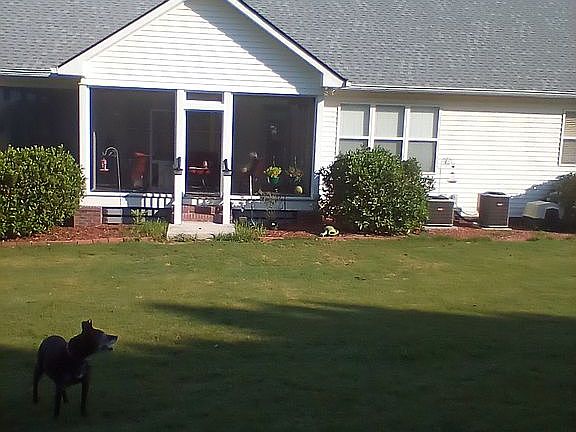 Back porch all new. View of 