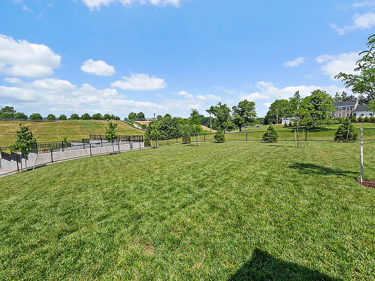 Dog Park