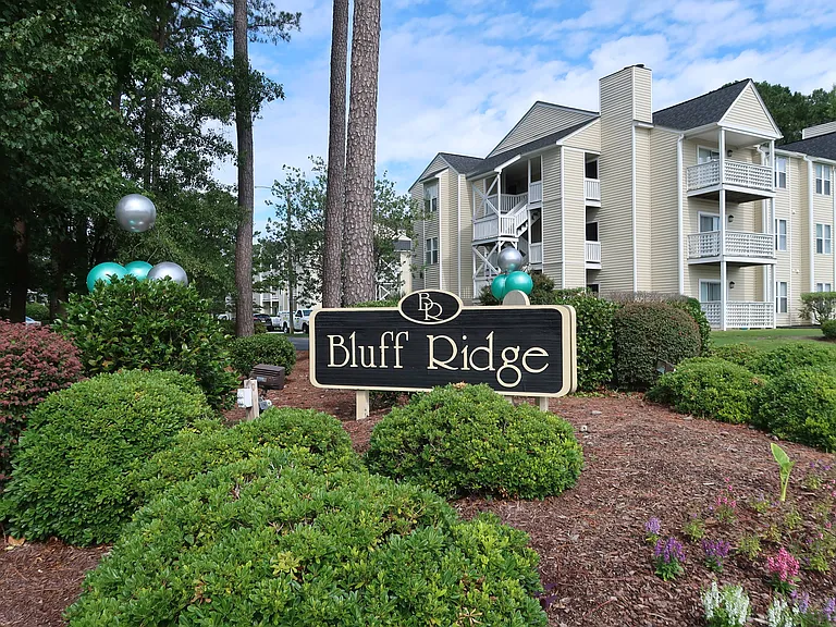 Bluff Ridge — Photo 45